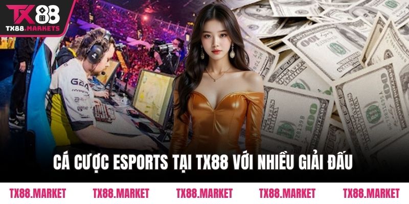 Cá Cược Esports Tại TX88 – Trải Nghiệm Kèo Đấu Đỉnh Cao  - tivex