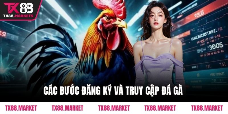 Đá Gà TX88 – Sân Chơi Đỉnh Cao Cho Người Đam Mê Gà Chiến - tivex