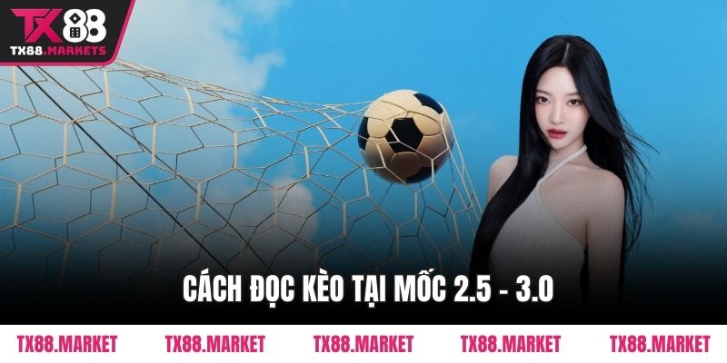 Hướng Dẫn Đọc Kèo Tài Xỉu Tại TX88 Chi Tiết Chuẩn Xác - tivex
