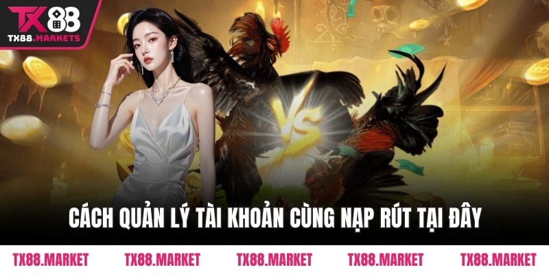 Đá Gà TX88 – Sân Chơi Đỉnh Cao Cho Người Đam Mê Gà Chiến - tivex