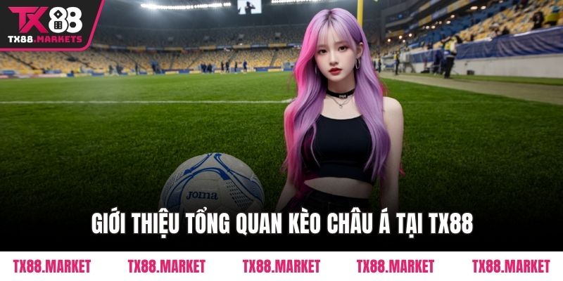Hướng Dẫn Đọc Kèo Châu Á Tại TX88 – Bí Quyết Cho Tân Thủ - tivex