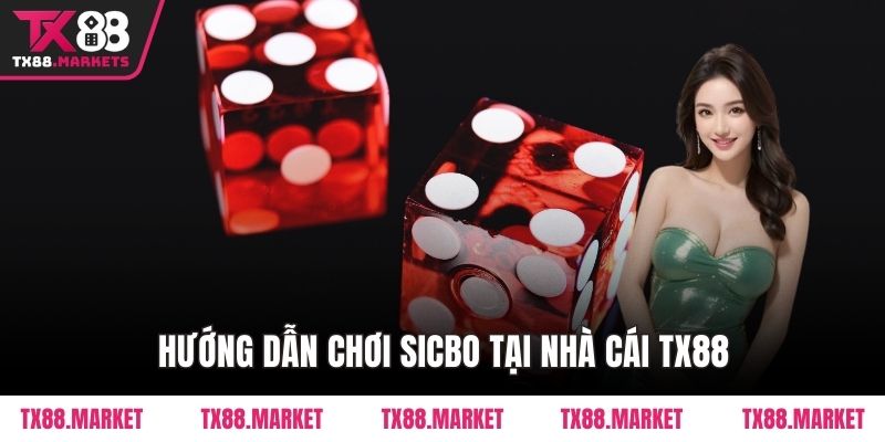 Hướng Dẫn Chơi Sicbo Tại Tx88 Chi Tiết Cho Người Mới - tivex