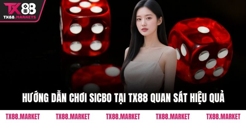 Hướng Dẫn Chơi Sicbo Tại Tx88 Chi Tiết Cho Người Mới - tivex