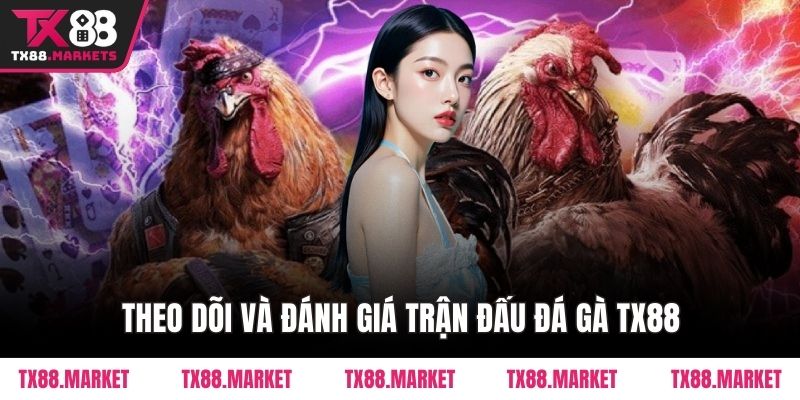 Đá Gà TX88 – Sân Chơi Đỉnh Cao Cho Người Đam Mê Gà Chiến - tivex