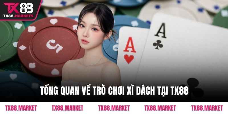 Cách Chơi Xì Dách TX88 Chi Tiết Cho Người Mới Bắt Đầu - tivex