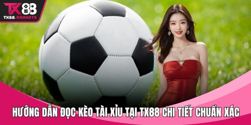 Blog cá cược - TX88 - tivex