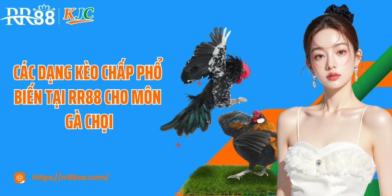 Cách Chấp Tiền Gà Chọi Tại RR88 Chuẩn Như Cao Thủ Lâu Năm - tivex