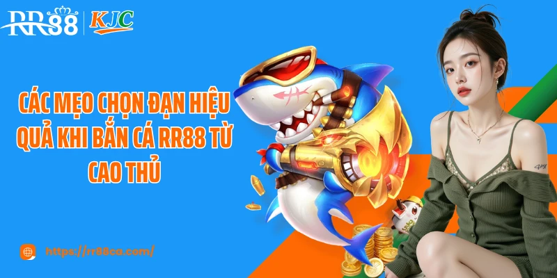 Mẹo Chọn Đạn Hiệu Quả Khi Bắn Cá Tại RR88 Theo Cao Thủ - tivex