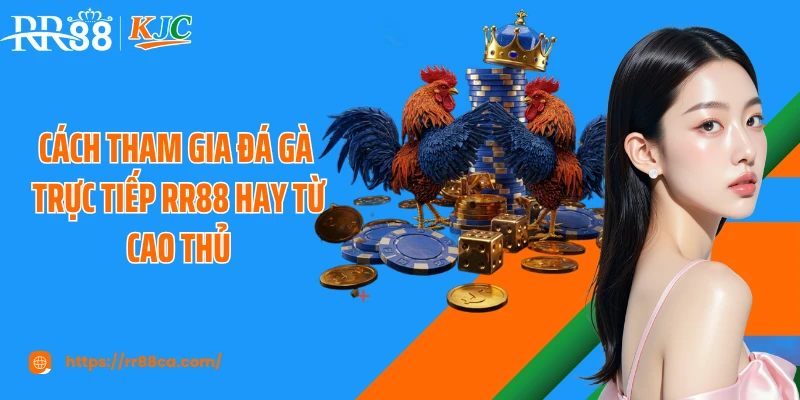 Cách Tham Gia Đá Gà Trực Tiếp Tại RR88 An Toàn Cho Người Mới - tivex