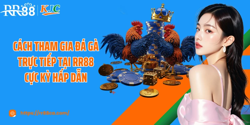 Cách Tham Gia Đá Gà Trực Tiếp Tại RR88 An Toàn Cho Người Mới - tivex