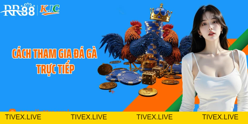 Cách Tham Gia Đá Gà Trực Tiếp Tại RR88 An Toàn Cho Người Mới - tivex