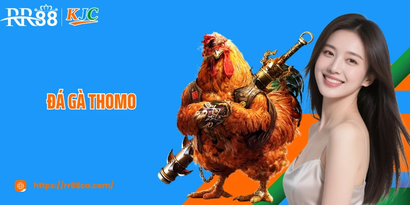 Đá Gà Thomo RR88: Trường Đấu Kê Kịch Tính Và Hấp Dẫn Số 1 - tivex