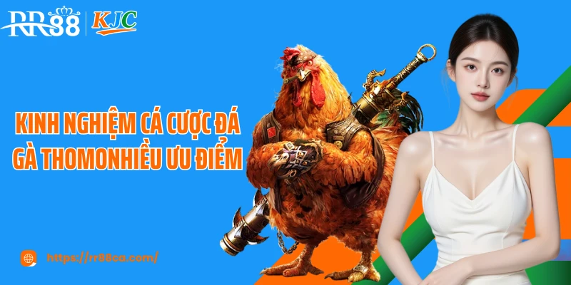 Đá Gà Thomo RR88: Trường Đấu Kê Kịch Tính Và Hấp Dẫn Số 1 - tivex