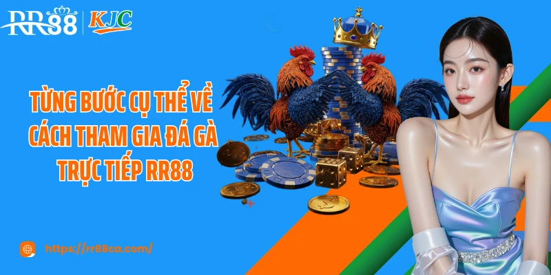 Cách Tham Gia Đá Gà Trực Tiếp Tại RR88 An Toàn Cho Người Mới - tivex