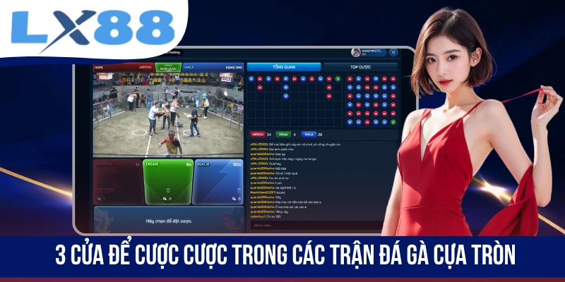 Đá Gà Cựa Tròn - Mãn Nhãn Với Những Trận Đấu Đỉnh Cao - tivex