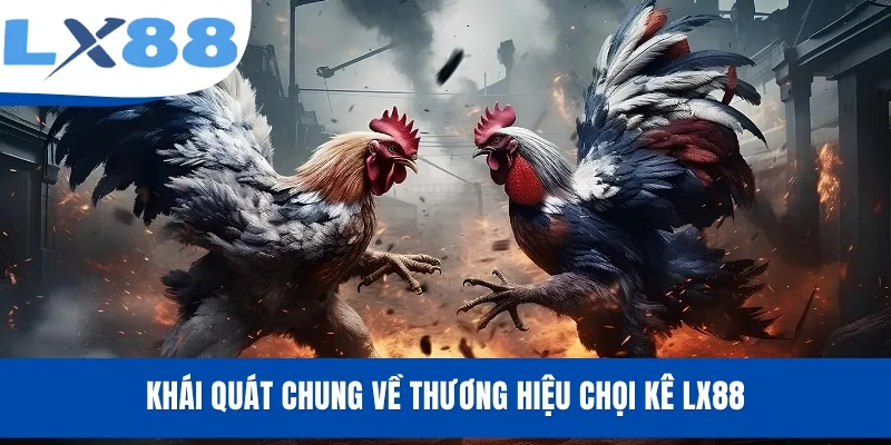 Đá Gà LX88 - Xem Livestream, Cược Trận Đấu Kịch Tính - tivex