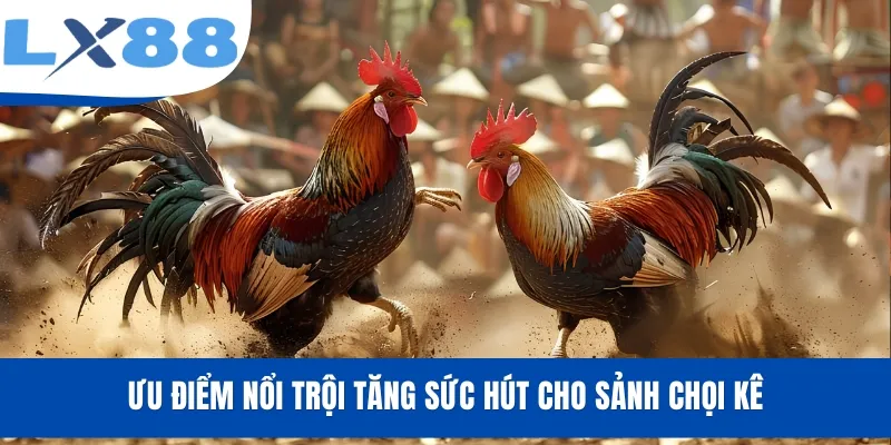 Đá Gà LX88 - Xem Livestream, Cược Trận Đấu Kịch Tính - tivex